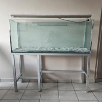 acquario 300 litri