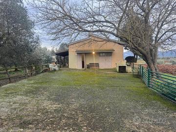 Rif.AN155PT| terreno agricolo follonica