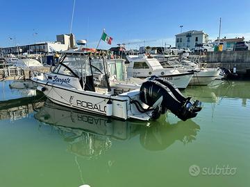 Robalo 2540 - Motori 2 x 225 hp Mercury Verado