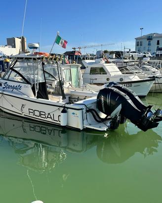 Robalo 2540 - Motori 2 x 225 hp Mercury Verado