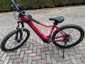 mtb pedalata assistita