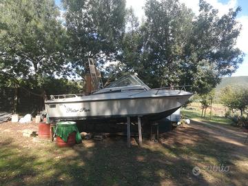 Vega zorro 1969