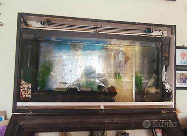 acquario a parete moderno  30 litri 