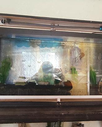 acquario a parete moderno  30 litri 