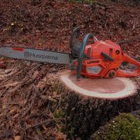 🔧Riparo e valuto motoseghe