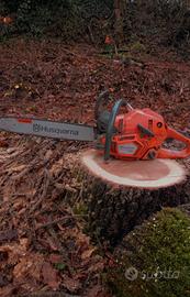 🔧Riparo e valuto motoseghe