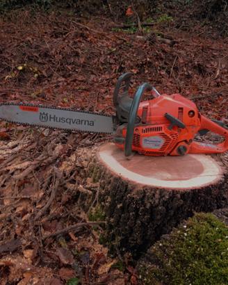 🔧Riparo e valuto motoseghe