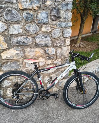 Bicicletta muscolare mountain-bike 