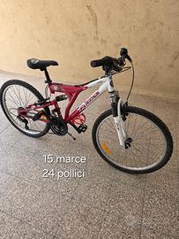 bicicletta 