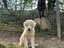 Immagine 28