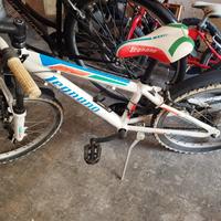 bici da 20