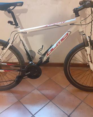 Bicicletta mountain bike