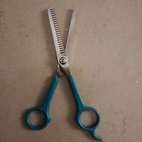 Forbici DentateToelettatura Cane