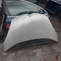 Cofano anteriore grigio x Citroen C4 Gran Picasso 