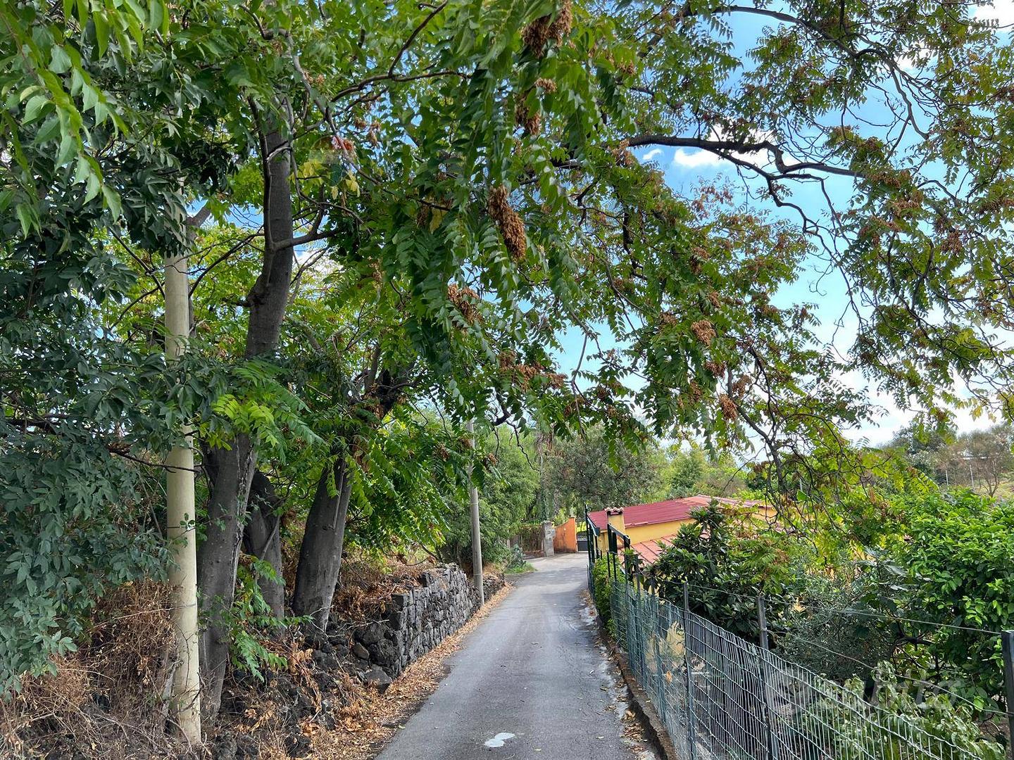 Terreno - Santa Venerina - Altro