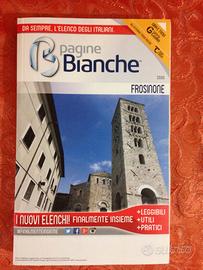 PagineBanche, Gialle, Frosinone 2016