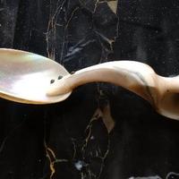 Cucchiaio in Madreperla primi 800
