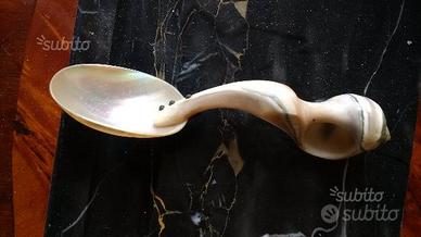 Cucchiaio in Madreperla primi 800