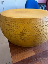 Forma grana padano in plastica design