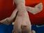 Immagine 2