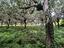 Immagine 8