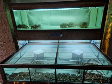 Acquario di acqua marina 650 lt