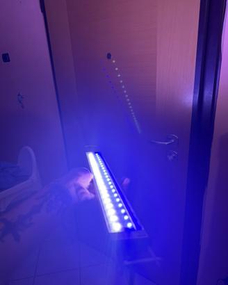 NEWA LED MARINE HYBRID, Reef e Acquari marini
