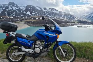 Honda XL 650 V Transalp - 2001