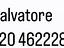Immagine 6