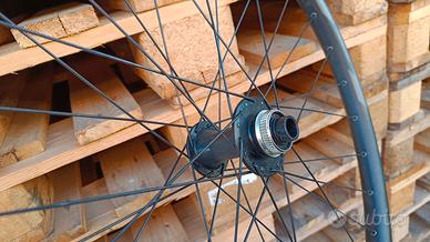 Ruota anteriore mozzo DT swiss Specialized MTB 