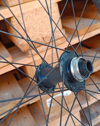 Ruota anteriore mozzo DT swiss Specialized MTB 