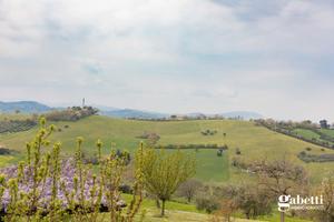 Appartamento Gradara [MA035/2VRG]