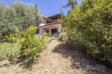 VILLA SINGOLA A SANT'ANGELO ROMANO