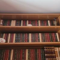 intera biblioteca 