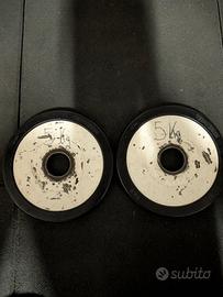 dischi ghisa 5kg technogym