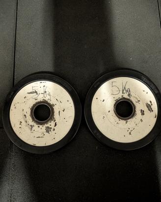 dischi ghisa 5kg technogym