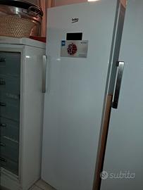 congelatore beko 
