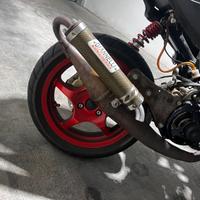 Giannelli minarelli orizzontale