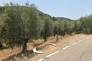 Terreno agricolo panoramico vista mare