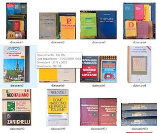 Dizionari vocabolari