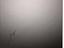 Immagine 25