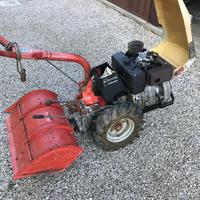 Trattorino Carrarina