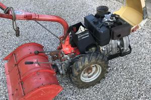 Trattorino Carrarina