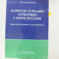 Libro Le pretese tutelabili attraverso l'azione di