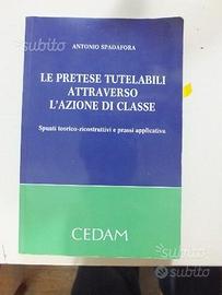 Libro Le pretese tutelabili attraverso l'azione di
