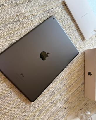 Apple Ipad