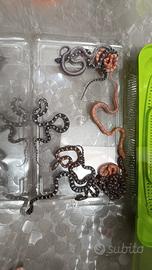 Baby serpente del grano