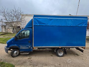 trasporto animali vivi