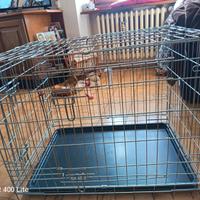 Gabbia / Trasportino in metallo per cani - Misura