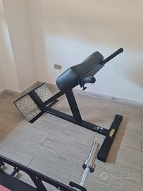 Hyperextension Technogym
